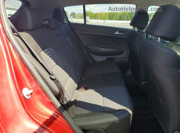 KNDPM3ACXK7591414 2019 KIA SPORTAGE Red Widok wnętrza z tyłu