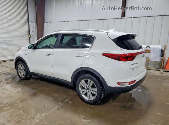 KNDPMCAC0H7244540 2017 KIA SPORTAGE Белый Задняя левая четверть