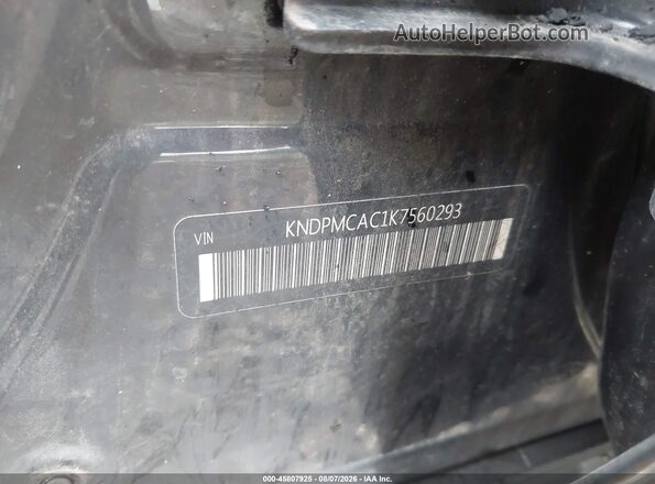 KNDPMCAC1K7560293 2019 KIA SPORTAGE Black Vista del compartimento del motor