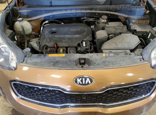 KNDPMCAC2H7267379 2017 KIA SPORTAGE Brown Սալոնի հետևի տեսք