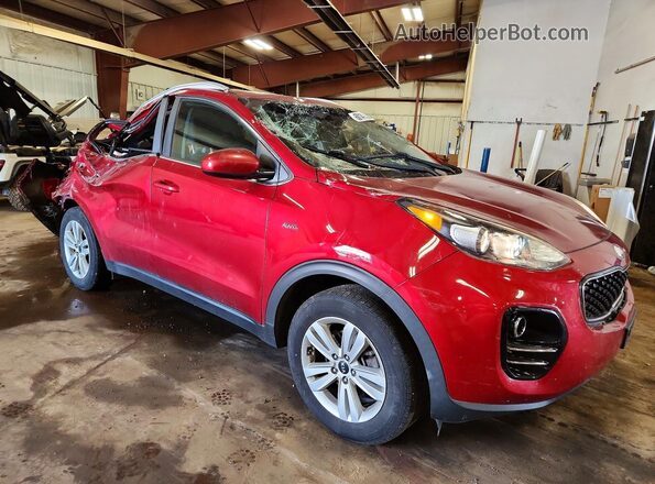 KNDPMCAC3K7625516 2019 KIA SPORTAGE Красный Передняя правая четверть