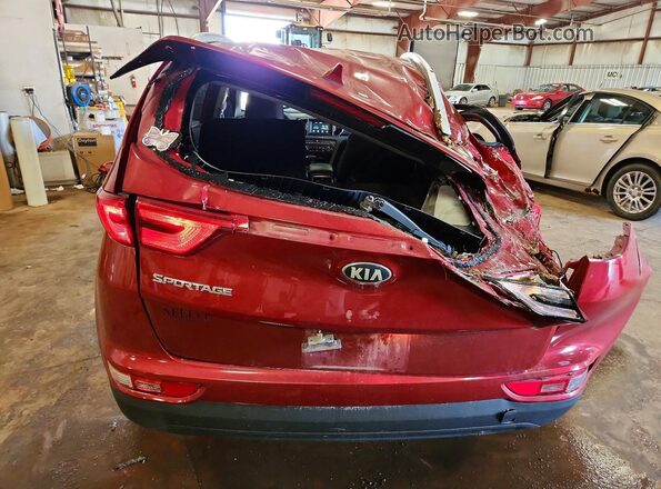 KNDPMCAC3K7625516 2019 KIA SPORTAGE Красный Вид сзади