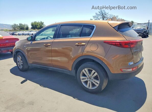 KNDPMCAC4H7104300 2017 KIA SPORTAGE Gold უკანა მარცხენა