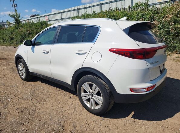 KNDPMCAC4K7523075 2019 KIA SPORTAGE White უკანა მარცხენა