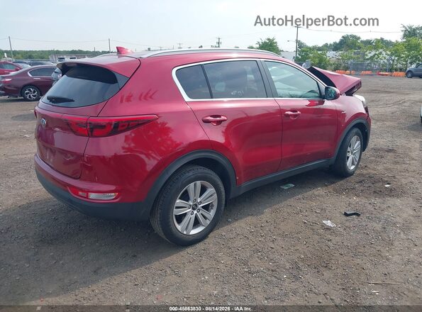 KNDPMCAC5H7169382 2017 KIA SPORTAGE Red Tył prawy