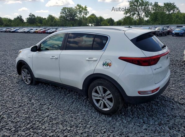 KNDPMCAC5H7291885 2017 KIA SPORTAGE Белый Задняя левая четверть