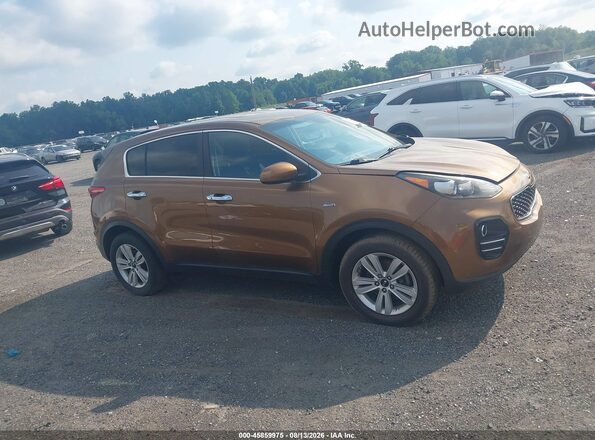 KNDPMCAC6H7120708 2017 KIA SPORTAGE Dark Brown Widok wnętrza z tyłu