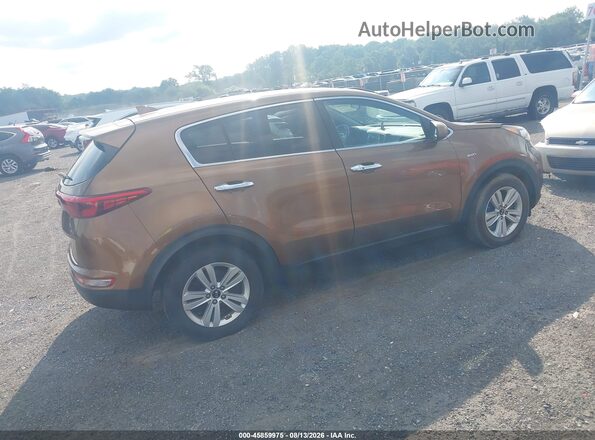 KNDPMCAC6H7120708 2017 KIA SPORTAGE Dark Brown Tył prawy