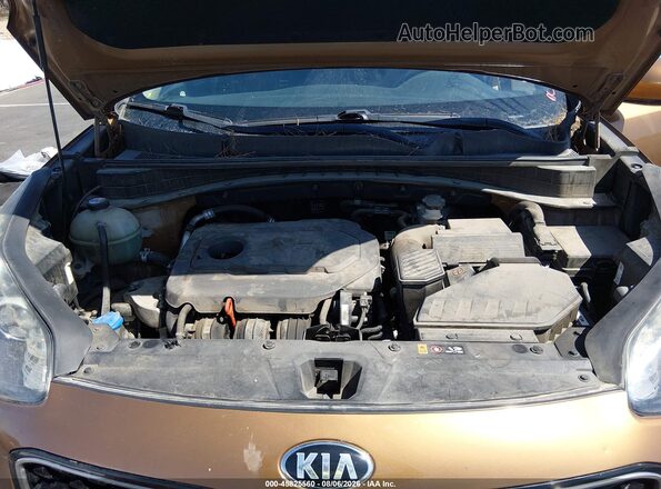 KNDPMCAC6J7349301 2018 KIA SPORTAGE Tan Вид ззаду