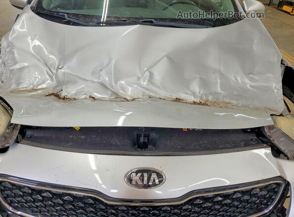 KNDPMCAC6J7371198 2018 KIA SPORTAGE Серебряный Вид задней части салона