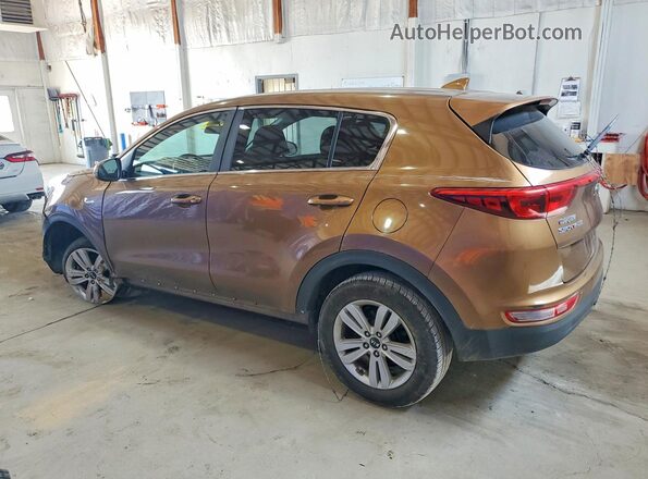 KNDPMCAC7H7198642 2017 KIA SPORTAGE Brown Հետևի ձախ