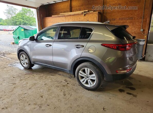 KNDPMCAC7H7266034 2017 KIA SPORTAGE Gray Հետևի ձախ