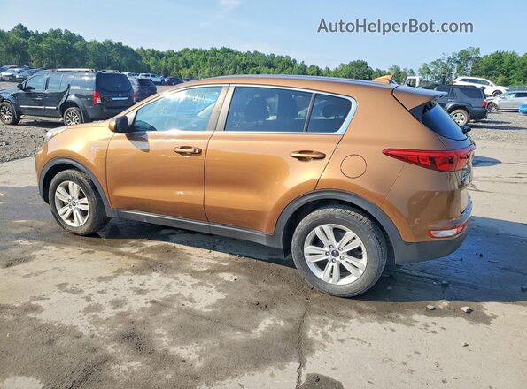 KNDPMCAC7J7307882 2018 KIA SPORTAGE Brown Trasero izquierdo