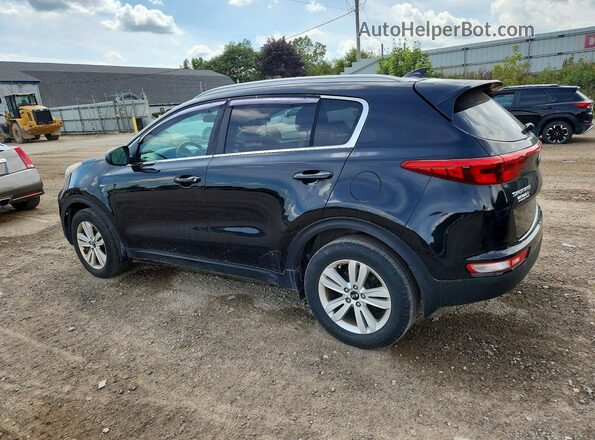 KNDPMCAC8H7036650 2017 KIA SPORTAGE Black Rear left