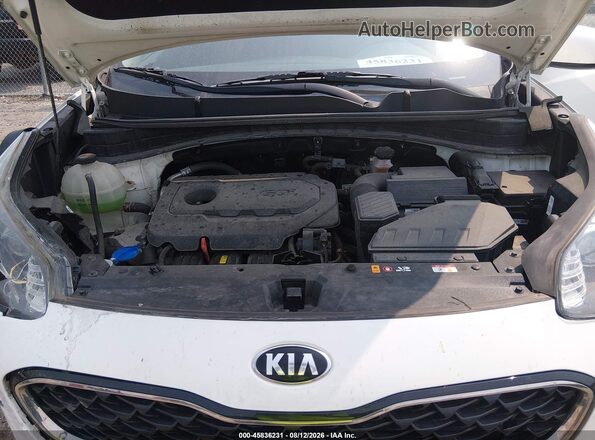KNDPMCAC8L7788518 2020 KIA SPORTAGE Белый Вид сзади