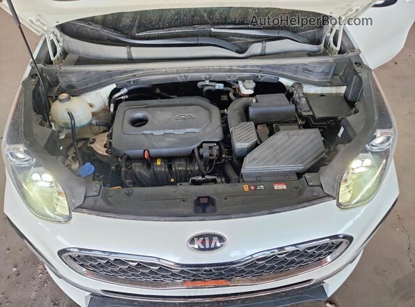KNDPN3AC0L7689950 2020 KIA SPORTAGE White უკანა სალონის ხედი