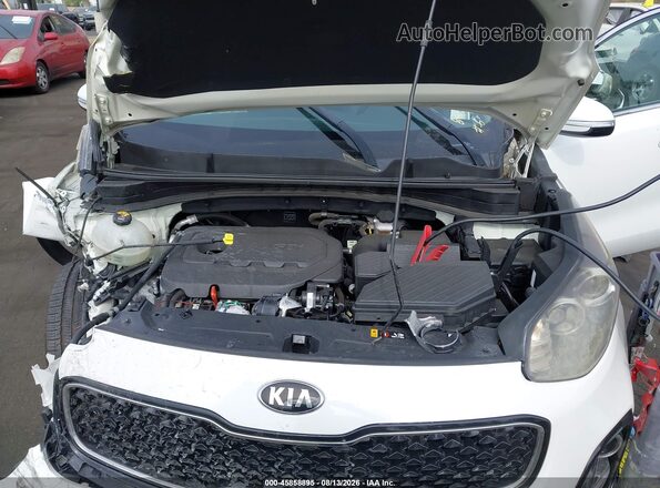 KNDPN3AC3J7401268 2018 KIA SPORTAGE Белый Вид сзади