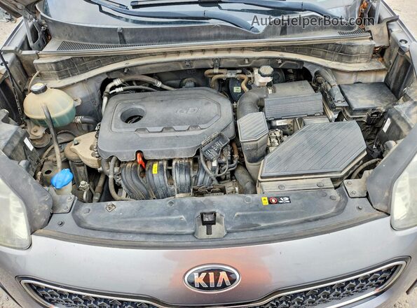 KNDPN3AC4H7119750 2017 KIA SPORTAGE Gray Vista del compartimento del motor