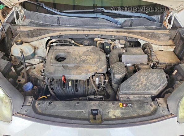 KNDPN3AC5J7397644 2018 KIA SPORTAGE Белый Вид задней части салона