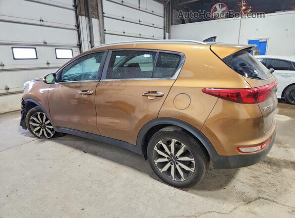 KNDPNCAC1H7117938 2017 KIA SPORTAGE Коричневый Передняя правая четверть