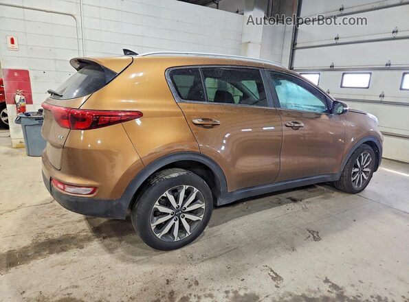 KNDPNCAC1H7117938 2017 KIA SPORTAGE Коричневый Вид сзади