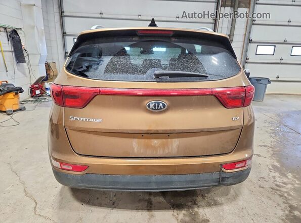 KNDPNCAC1H7117938 2017 KIA SPORTAGE Коричневый Вид подкапотного пространства