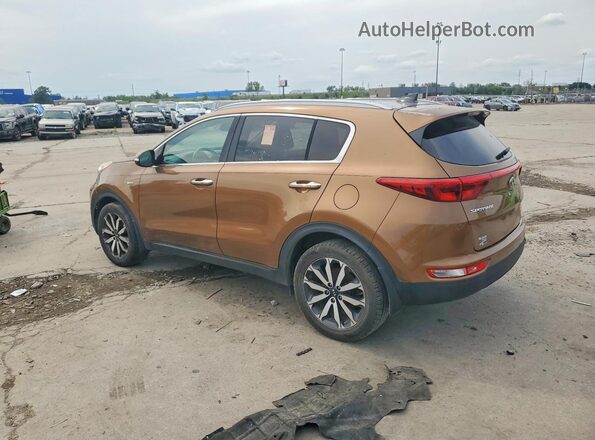 KNDPNCAC3H7146745 2017 KIA SPORTAGE Brown Trasero izquierdo