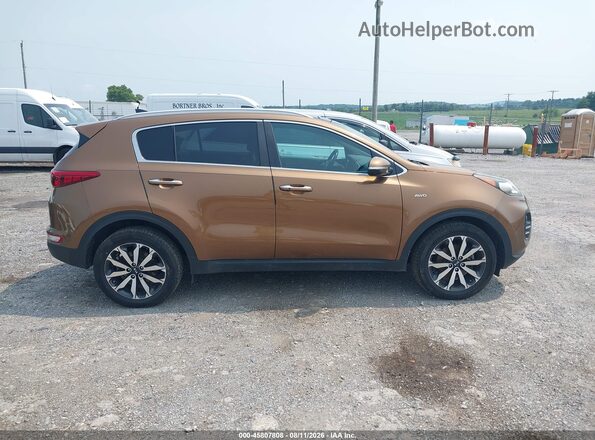 KNDPNCAC6H7189914 2017 KIA SPORTAGE Brown Սալոնի հետևի տեսք