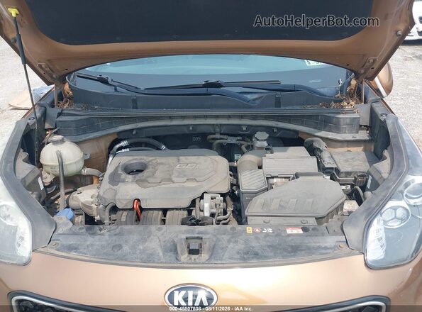 KNDPNCAC6H7189914 2017 KIA SPORTAGE Brown Հետևի տեսք