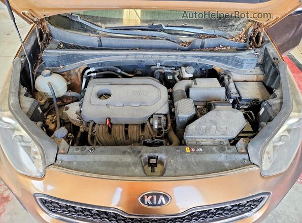 KNDPNCAC9H7032037 2017 KIA SPORTAGE Gold Вид підкапотного простору