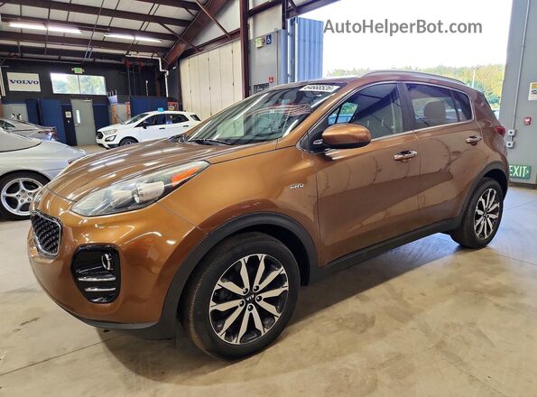 KNDPNCACXH7275842 2017 KIA SPORTAGE Brown Trasero izquierdo