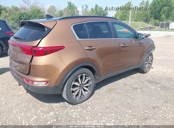 KNDPNCACXJ7318677 2018 KIA SPORTAGE Brown უკანა მარჯვენა