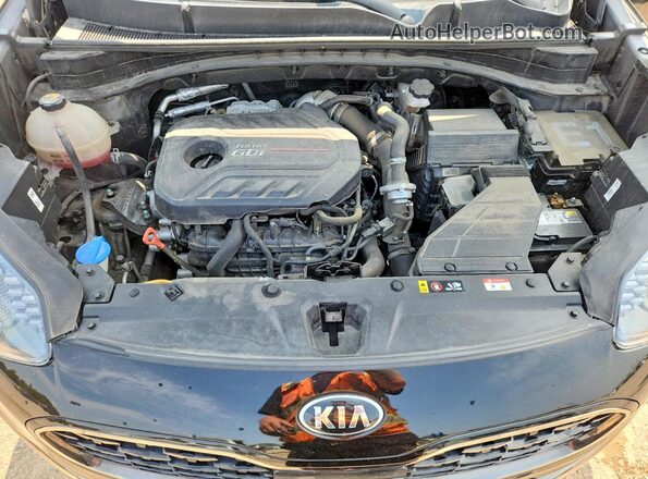 KNDPRCA67M7874027 2021 KIA SPORTAGE Black Սալոնի հետևի տեսք