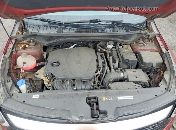 KNDPU3AF4P7138942 2023 KIA SPORTAGE Red Widok wnętrza z tyłu