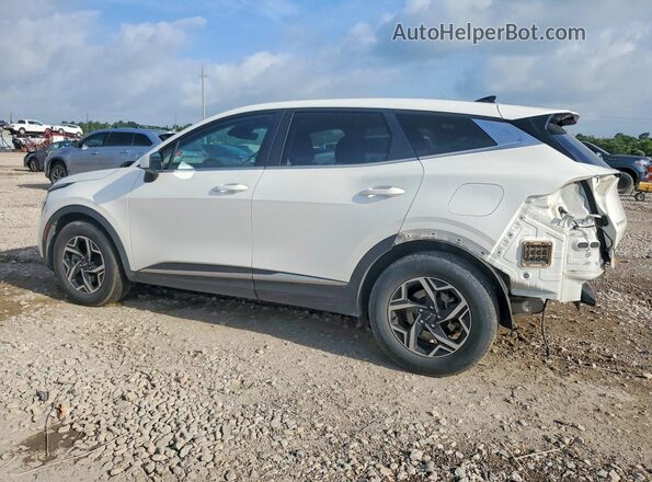KNDPU3AF6P7117736 2023 KIA SPORTAGE White Tył lewy