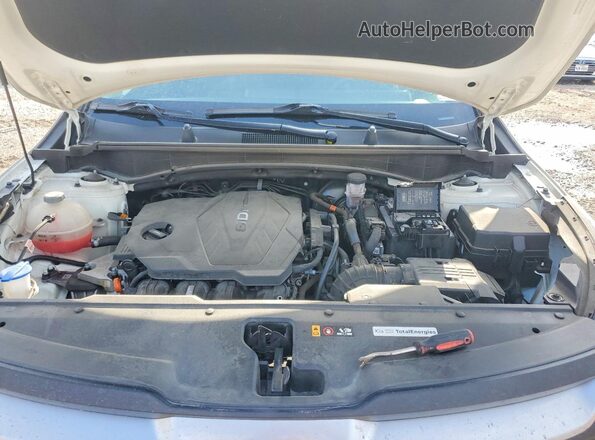 KNDPU3AF6P7117736 2023 KIA SPORTAGE White Widok wnętrza z tyłu