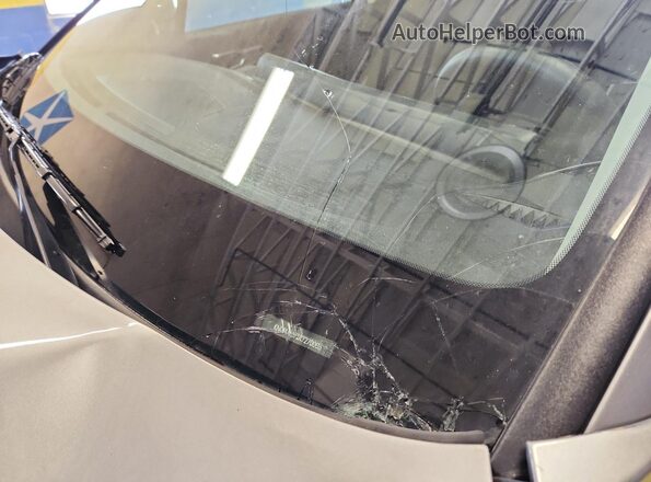 KNDPU3DF1R7270006 2024 KIA SPORTAGE Silver Панорамний вид салону 360°