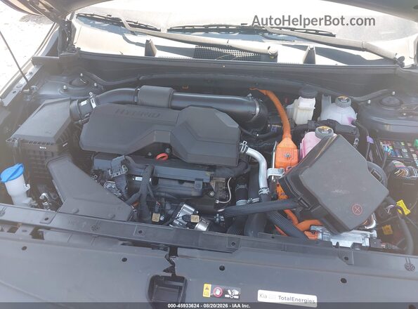 KNDPU3DG2T7310514 2026 KIA SPORTAGE HYBRID Gray Vista trasera