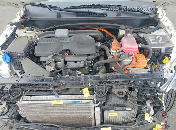 KNDPUCAG5P7057442 2023 KIA SPORTAGE Белый Вид задней части салона