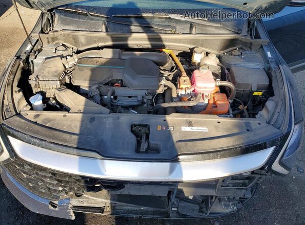 KNDPVCAG7P7099222 2023 KIA SPORTAGE Blue Widok wnętrza z tyłu