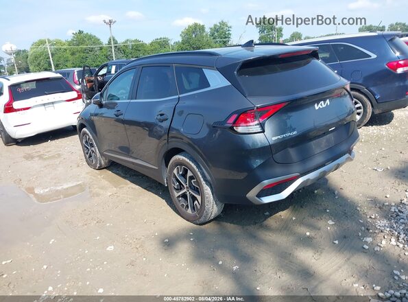 KNDPVCDG4R7128917 2024 KIA SPORTAGE HYBRID Gray Հետևի ձախ