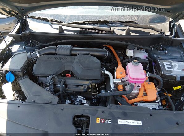 KNDPVCDG6S7217586 2025 KIA SPORTAGE HYBRID Синий Вид сзади