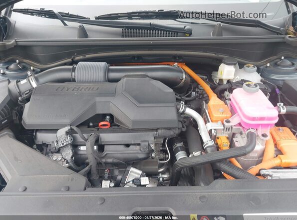 KNDPVCDG8S7214933 2025 KIA SPORTAGE HYBRID Синий Вид сзади