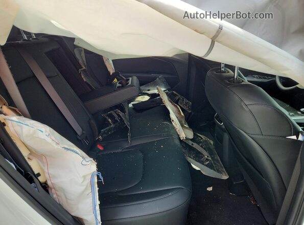 KNDPVDDG7T7344919 2026 KIA SPORTAGE White Вид задніх сидінь