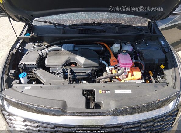 KNDPVDDGXT7325118 2026 KIA SPORTAGE HYBRID Black უკანა ხედი