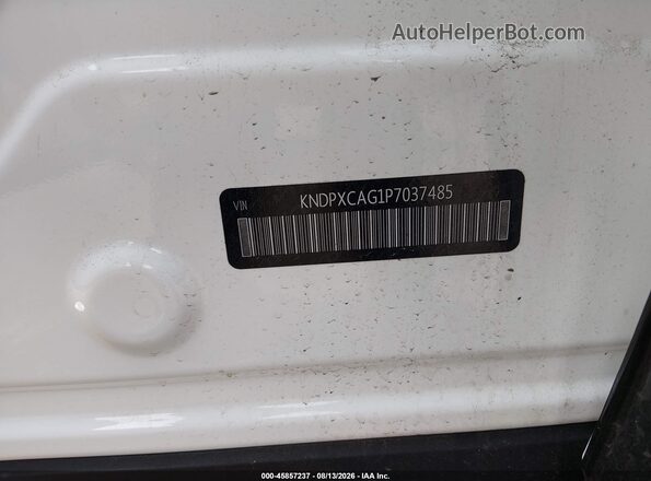 KNDPXCAG1P7037485 2023 KIA SPORTAGE HYBRID Белый Вид подкапотного пространства