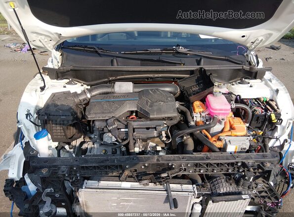 KNDPXCAG1P7037485 2023 KIA SPORTAGE HYBRID Белый Вид сзади