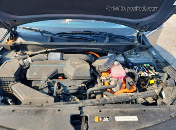 KNDPXCAG6P7037336 2023 KIA SPORTAGE Серый Вид задней части салона