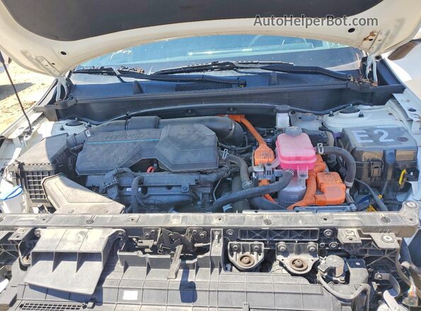 KNDPXCAG6P7082583 2023 KIA SPORTAGE Белый Вид задней части салона