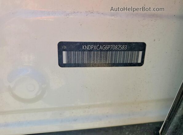 KNDPXCAG6P7082583 2023 KIA SPORTAGE Белый Вид подкапотного пространства